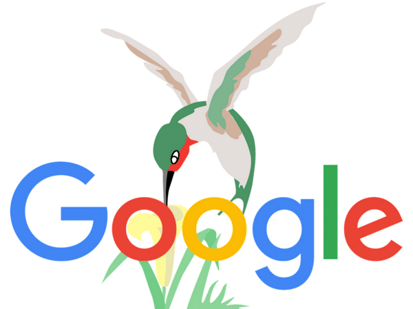 Google Koliber
